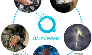 Ozonowanie w firmie: Jak wybrać właściwy kod PKD dla usług dezynfekcji?