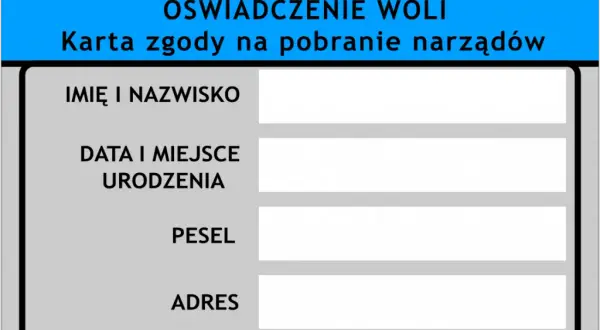 Jak i gdzie złożyć oświadczenie woli bez stresu i zbędnych formalności