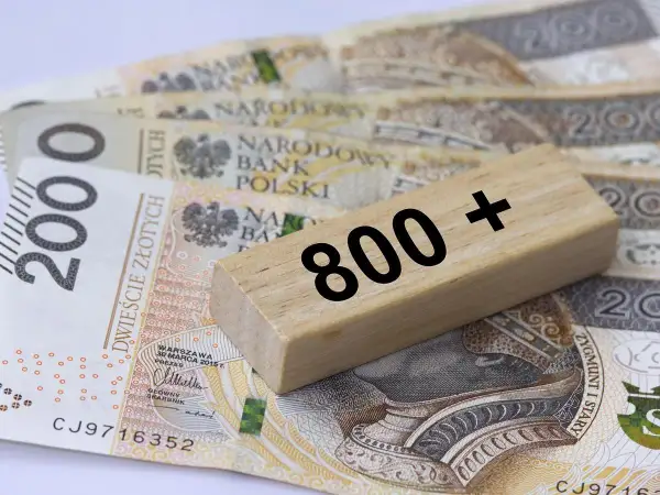 Uwaga! Ostateczny termin 800 plus: Nie przegap złożenia wniosku i strać szansę na świadczenie